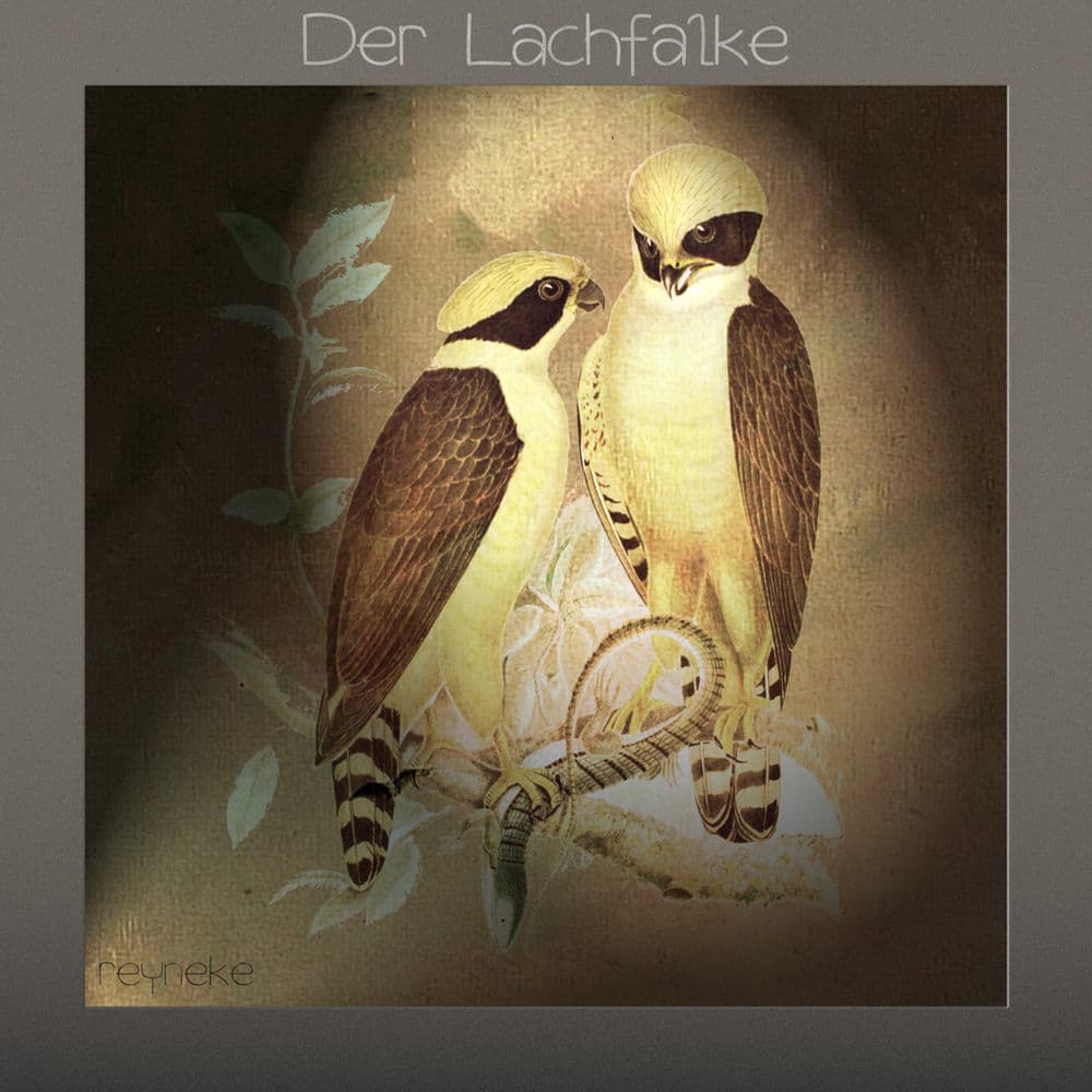 Reyneke – Dance
