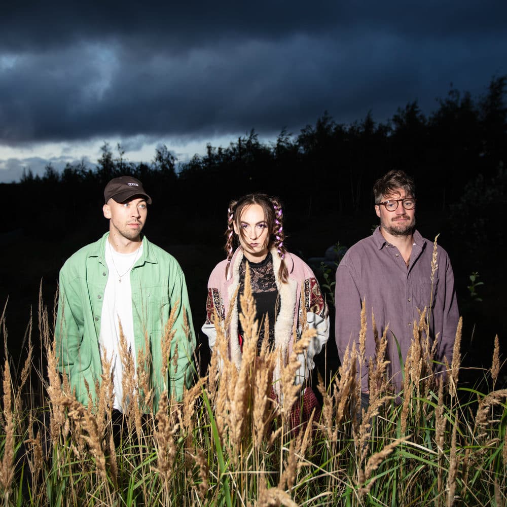The Pinpricks – Rock