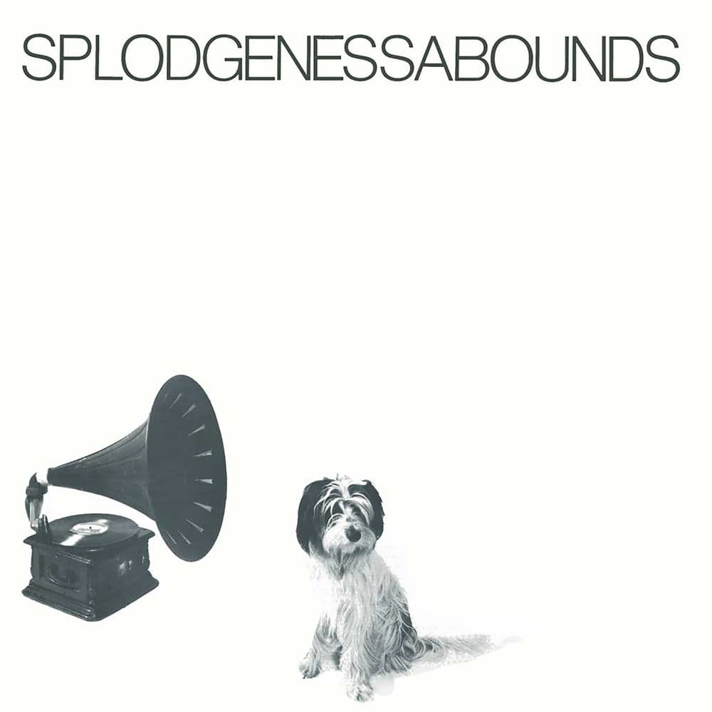 Splodgenessabounds – Punk