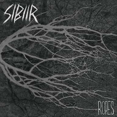 SIBIIR