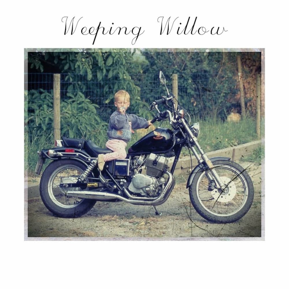 Weeping Willow