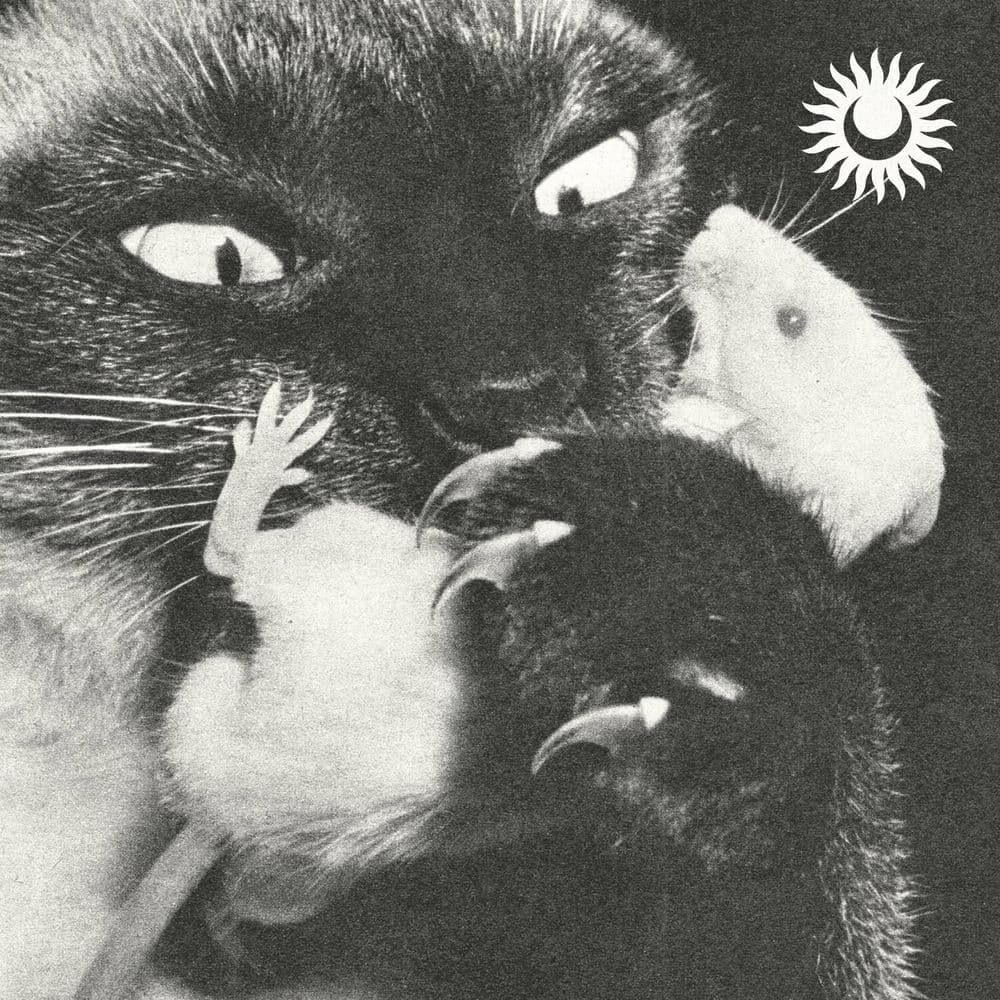 SERVO – Space Rock