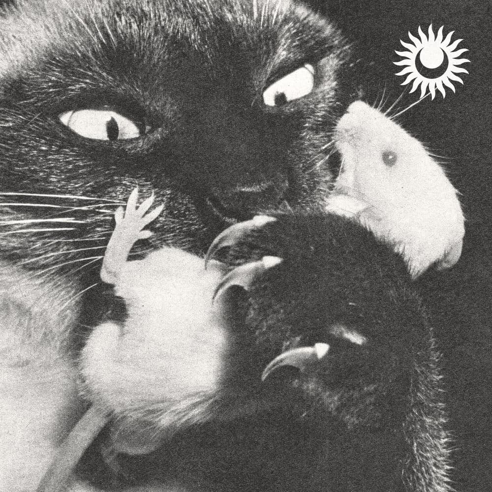 SERVO – Coldwave