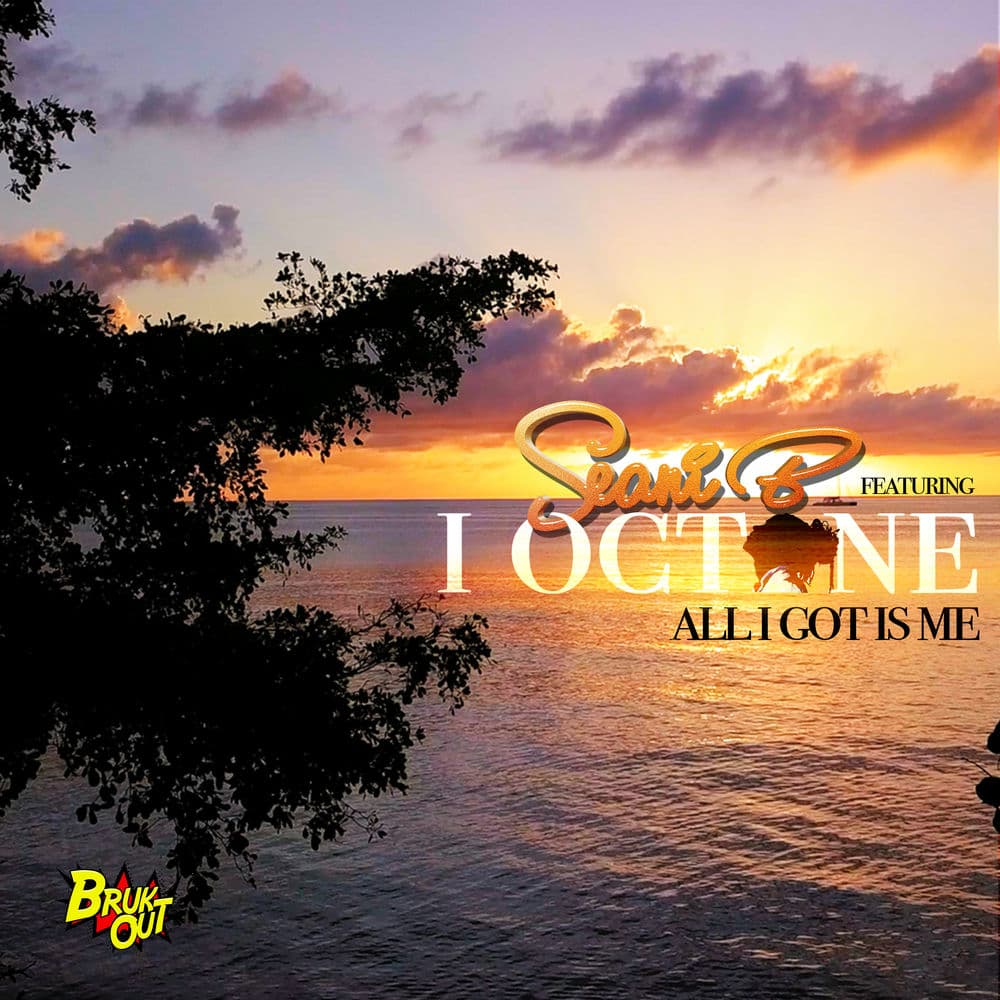 Seani B – Reggae