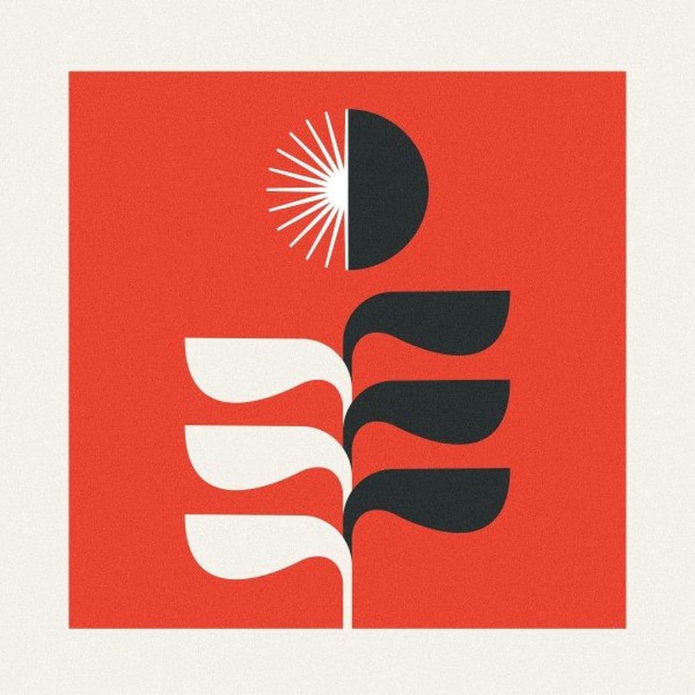 Worries and Other Plants – Lo-Fi