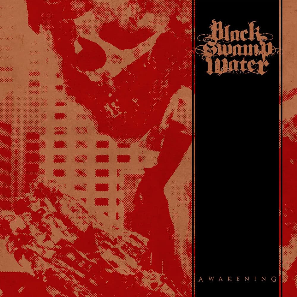 Black Swamp Water – Rock