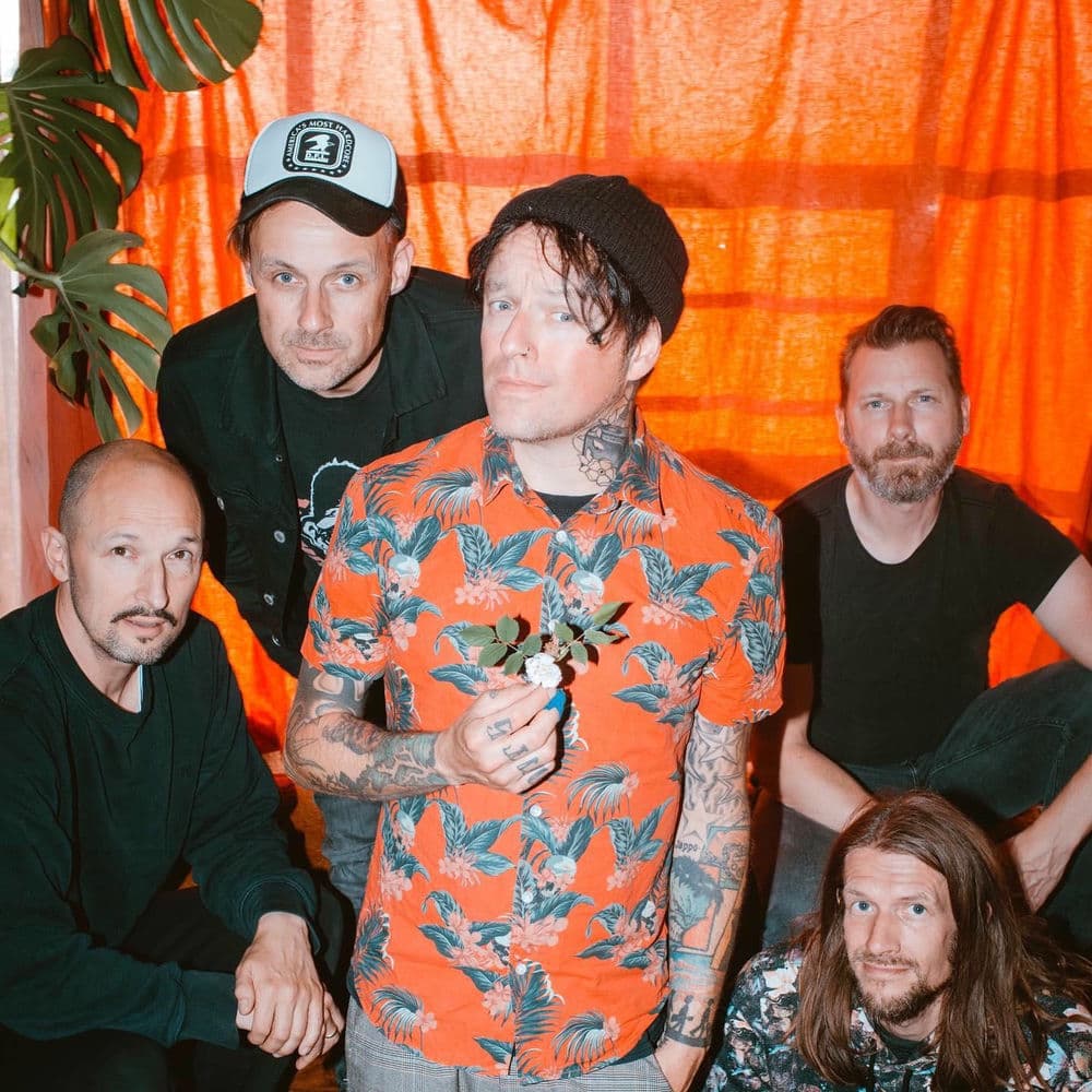 DONOTS – Rock