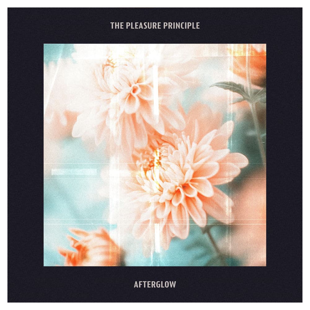 Pleasure Prince – Electro