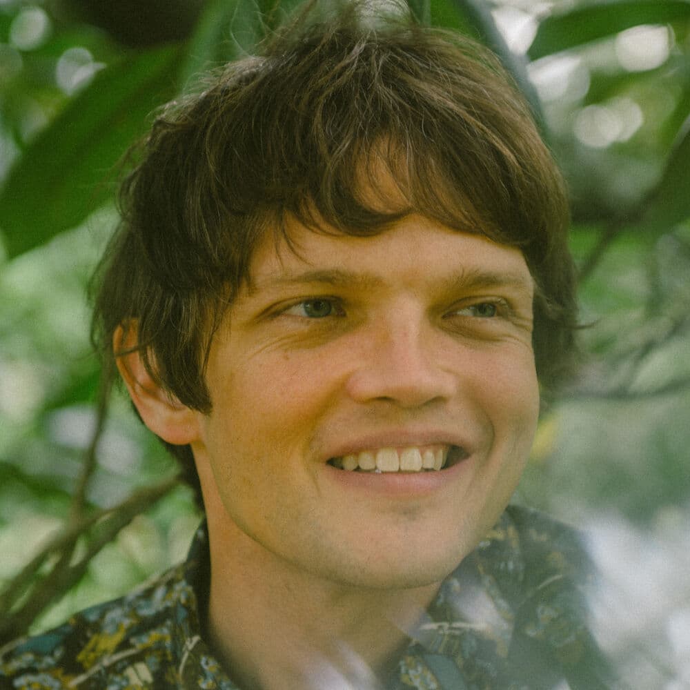 William Tyler – Electro