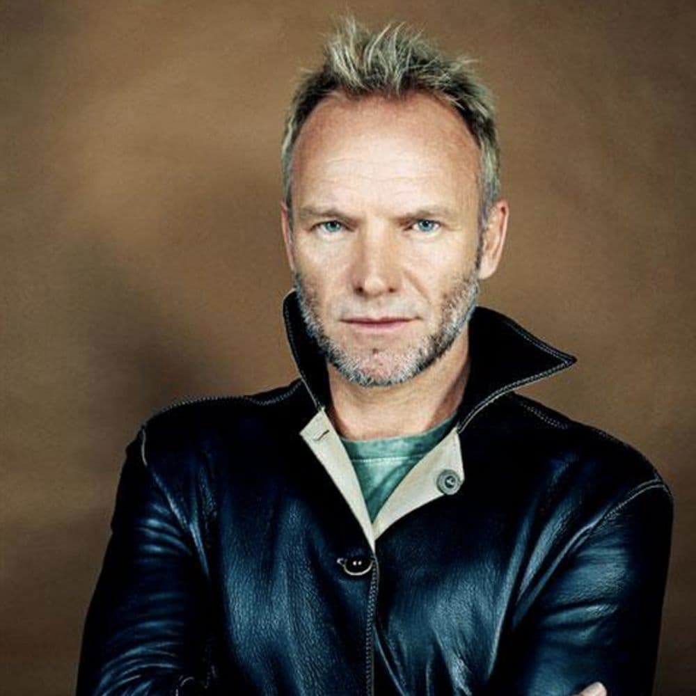 STING – Pop