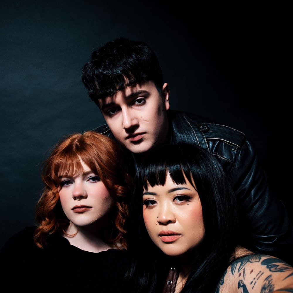 Pistol Daisys – Singer-Songwriter