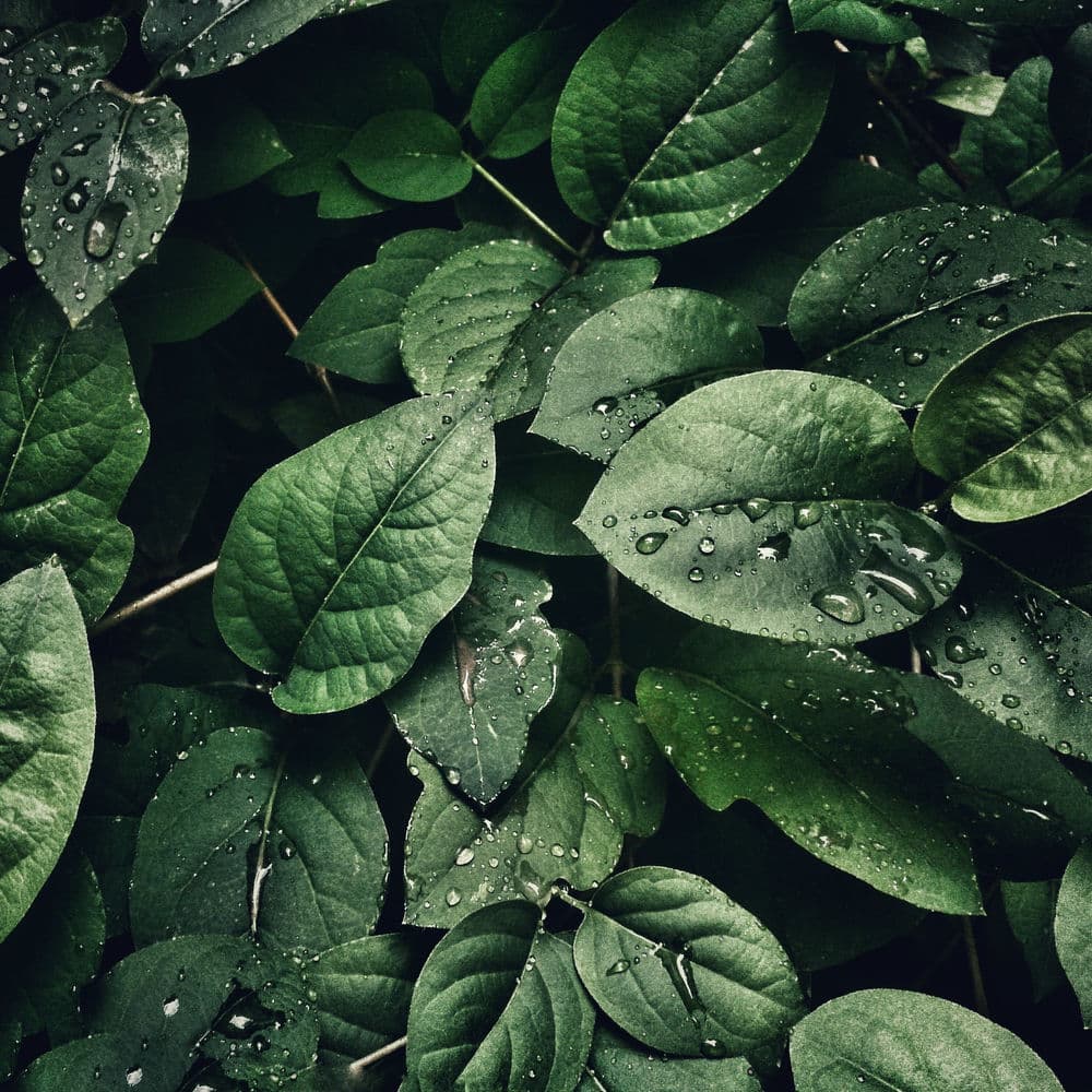 Jack Love – R&B