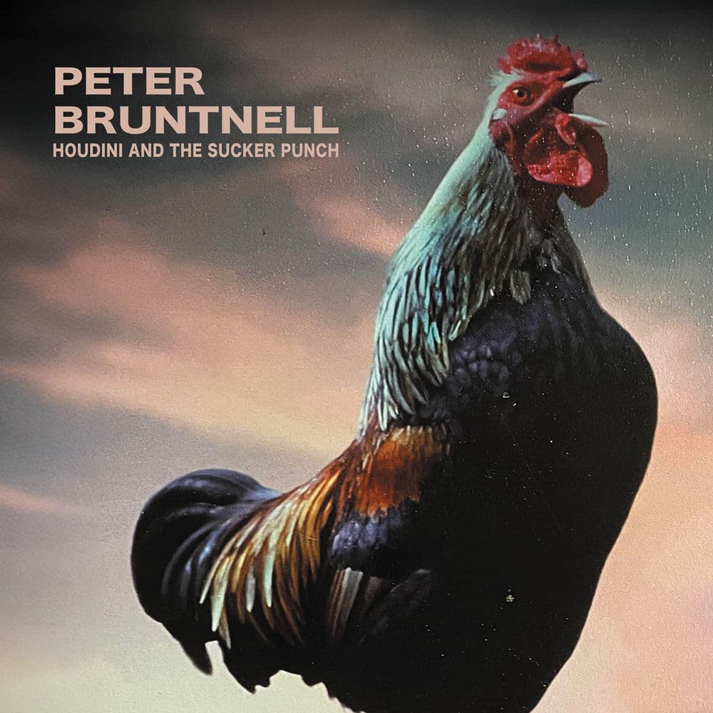 Peter Bruntnell – Rock