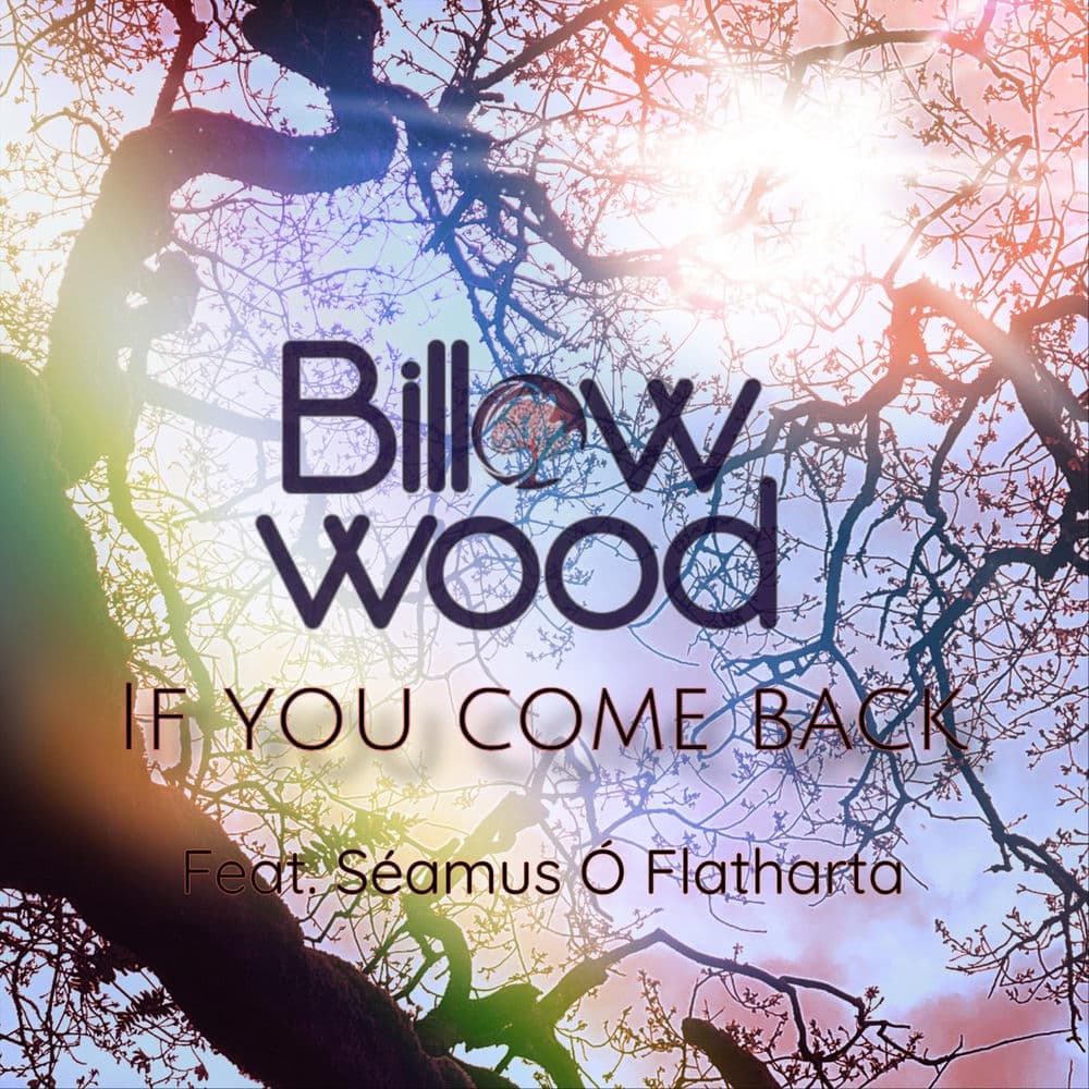 Billow Wood – Folk