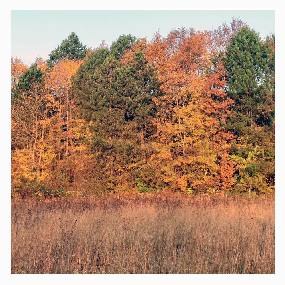 OMSORG – Alternative