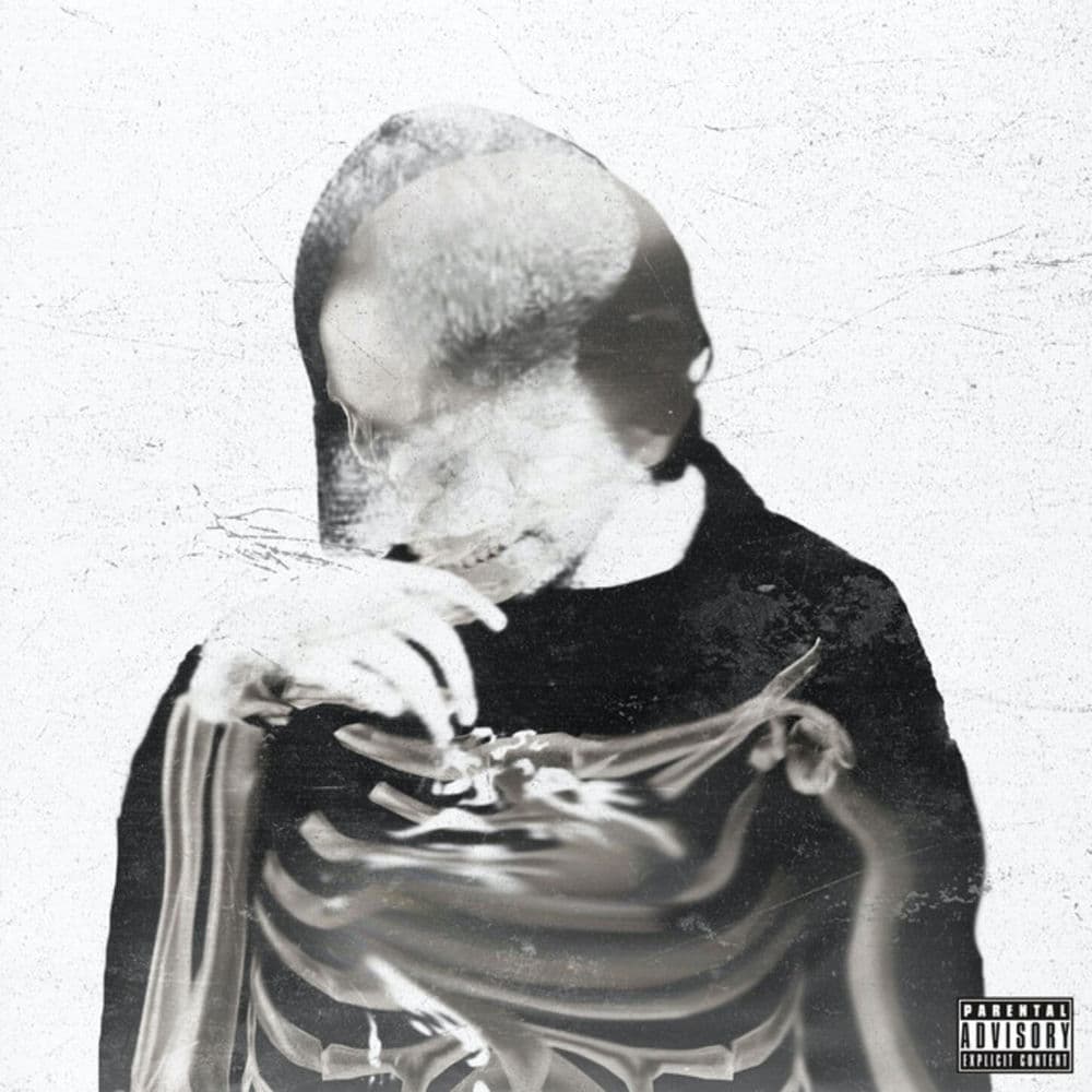 TAZ – Hip-Hop