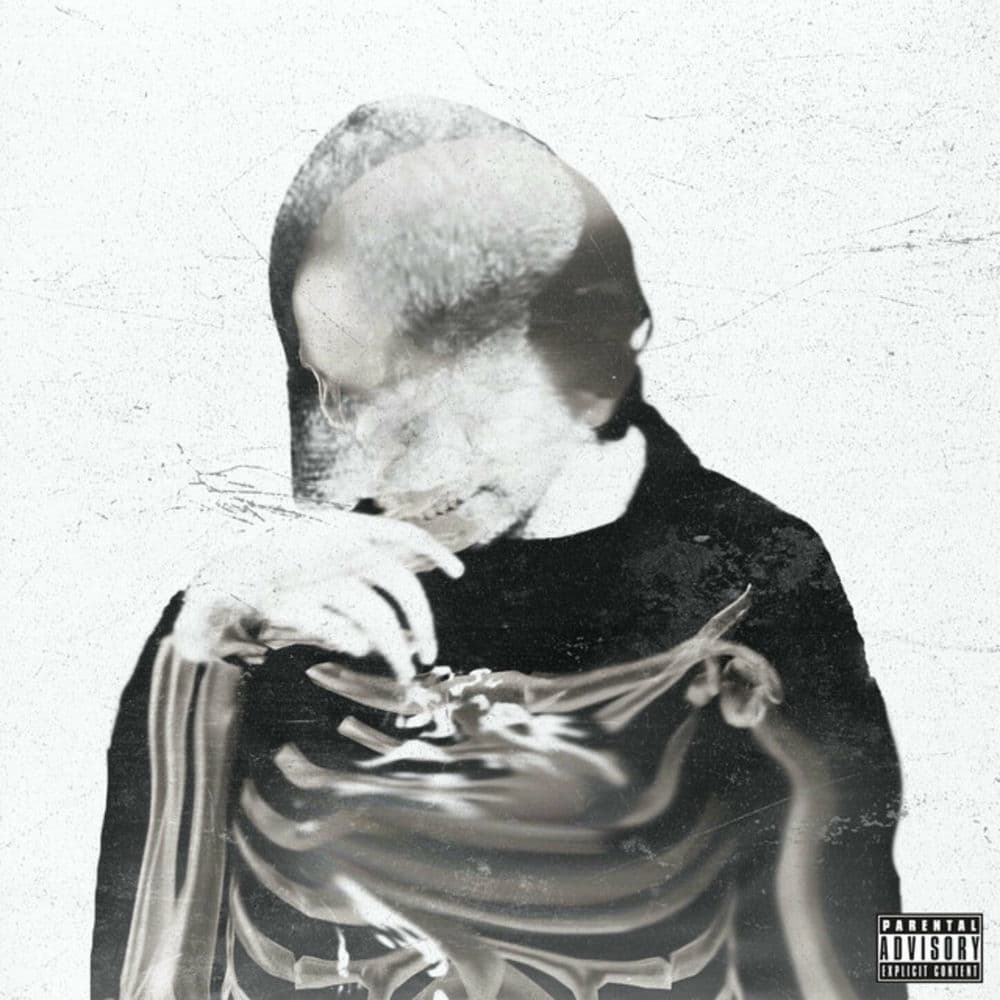 TAZ – Hip-Hop