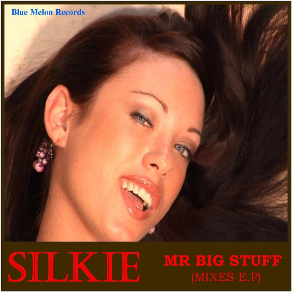 Silkie – Dubstep
