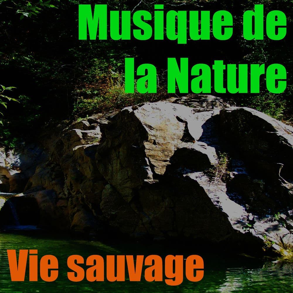 Vie Sauvage