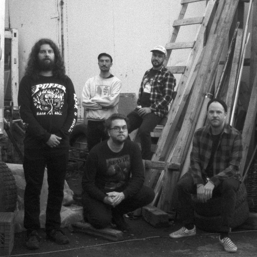 ALBATROS – Pop