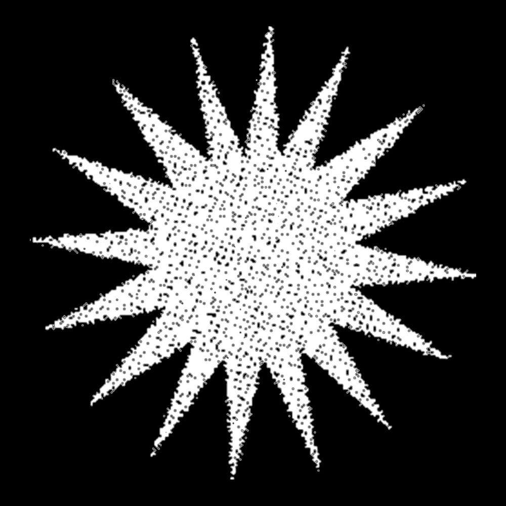 Die Verlierer – Garage Punk