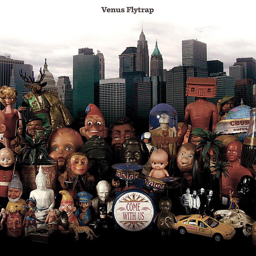 Venus Flytrap – Rock