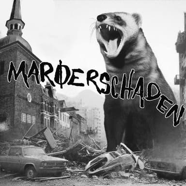 Marderschaden