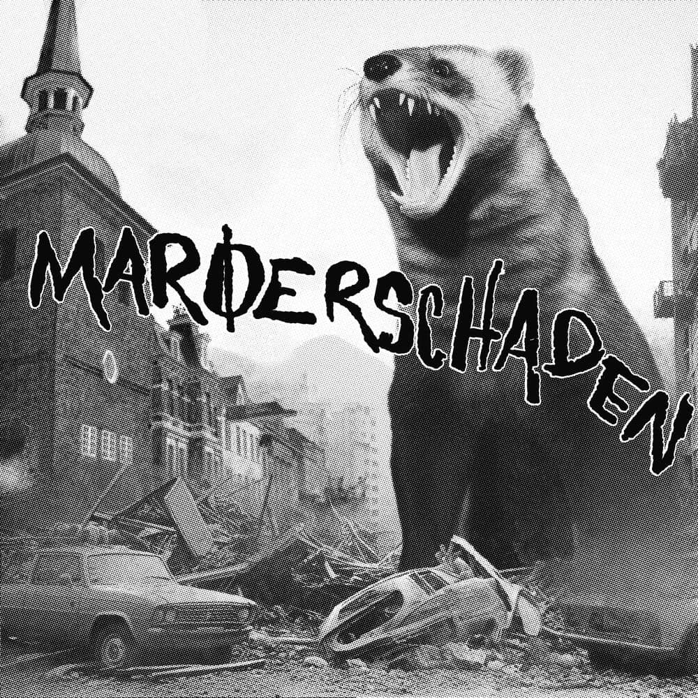 Marderschaden – Alternative