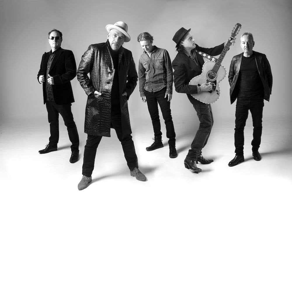 The Black Sorrows – Rock