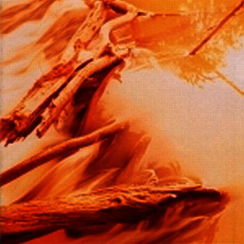 Windy & Warm – Rock