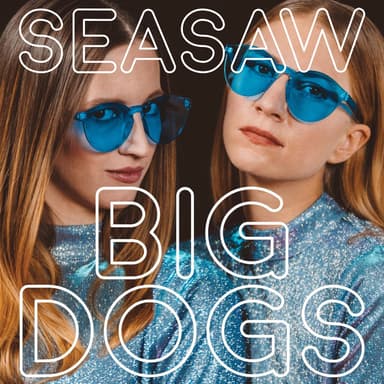 Seasaw