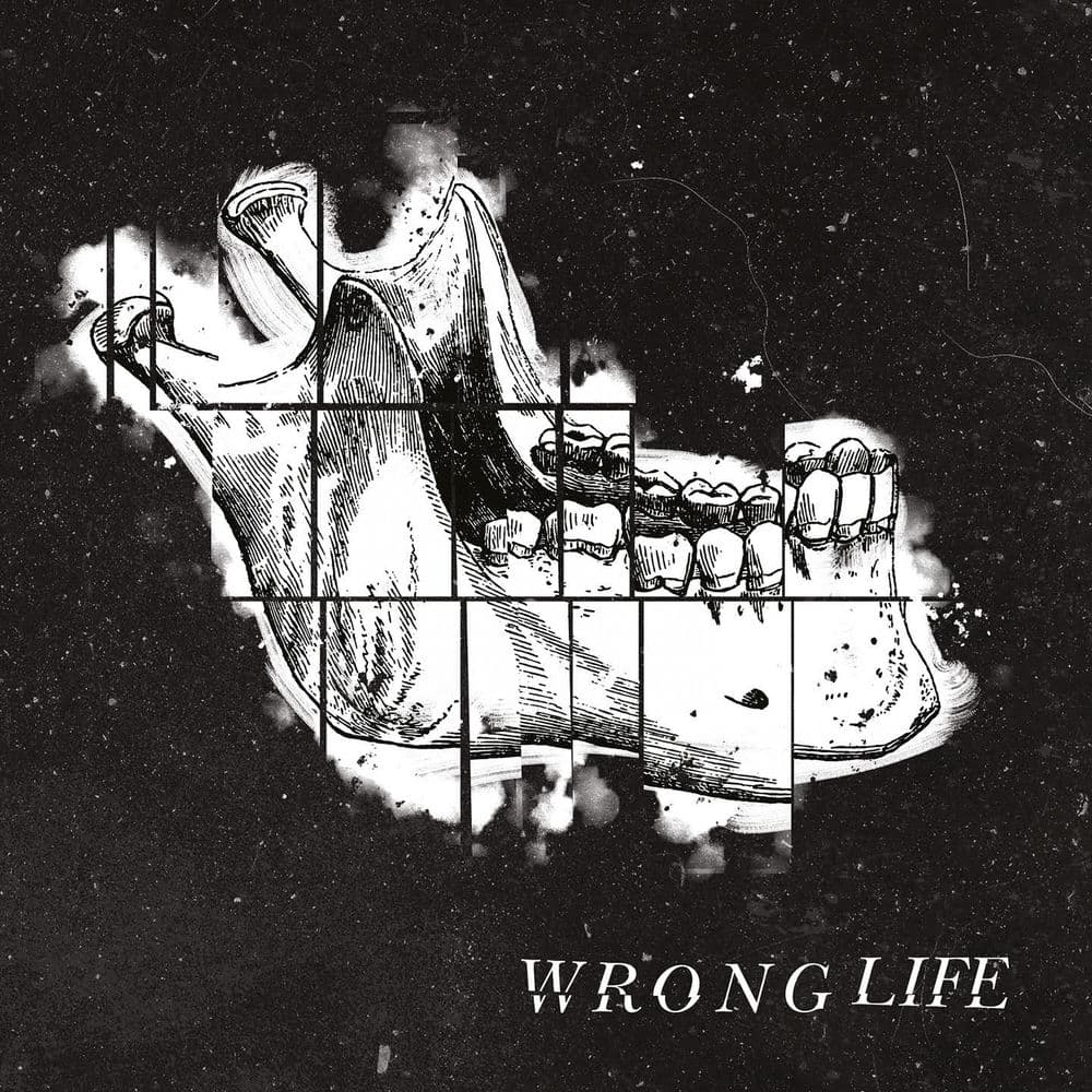 Wrong Life – Alternative
