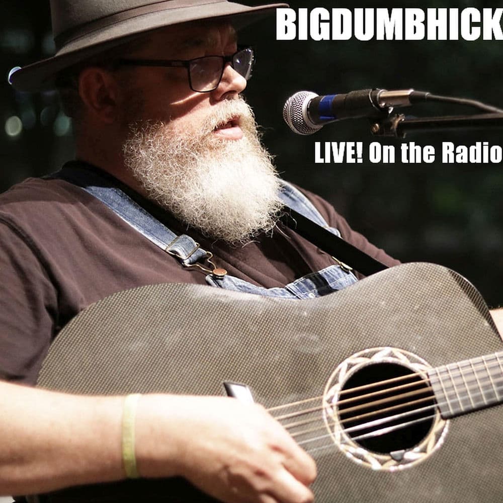 Bigdumbhick – Singer-Songwriter