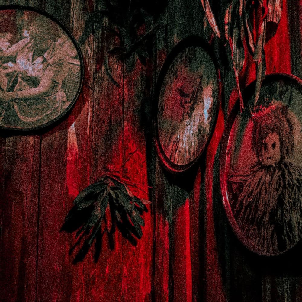 BOIS VERT – Alternative