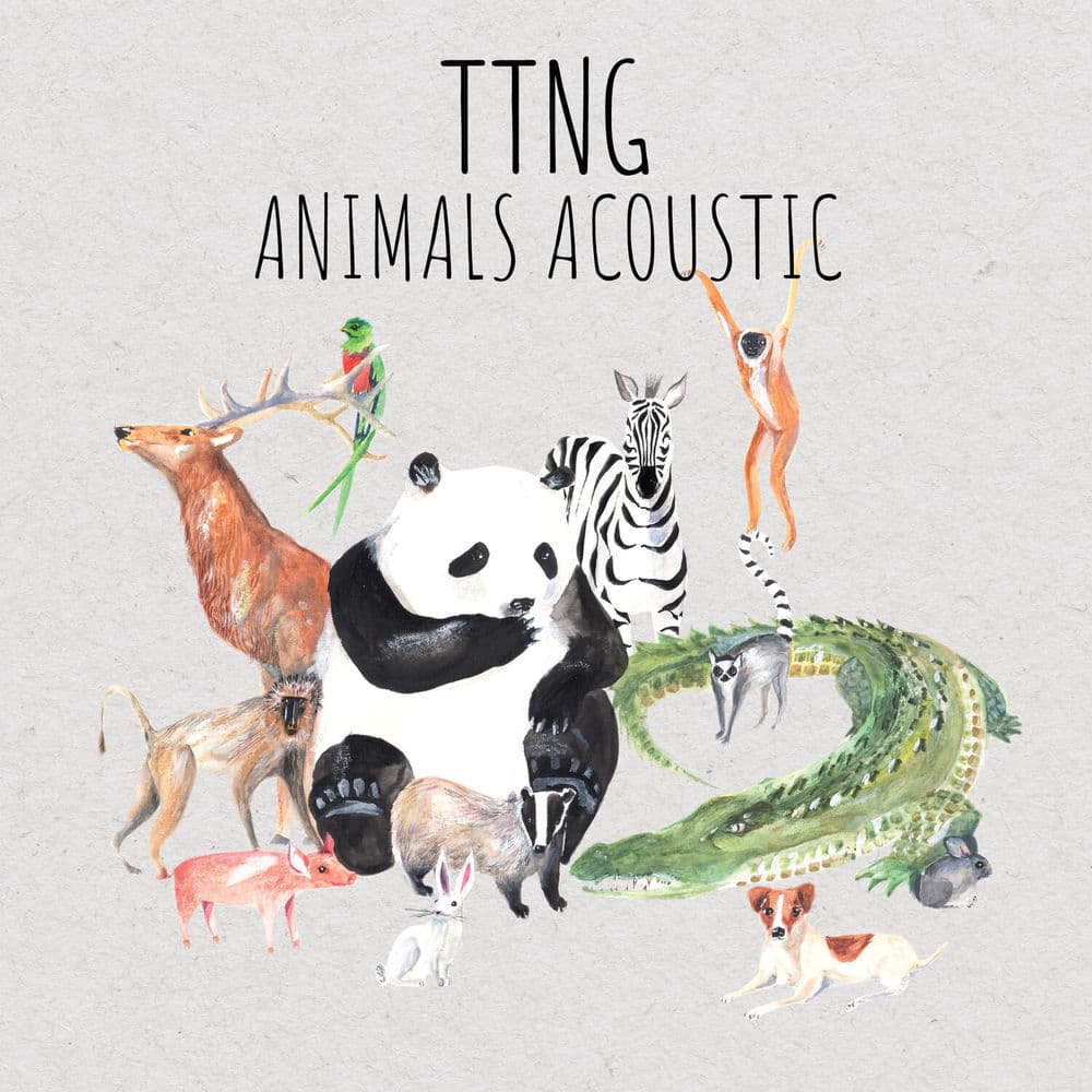 TTNG – Crossover Prog