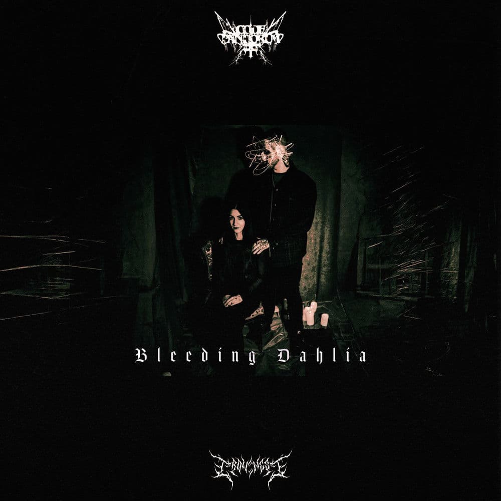 Code:Pandorum – Dubstep