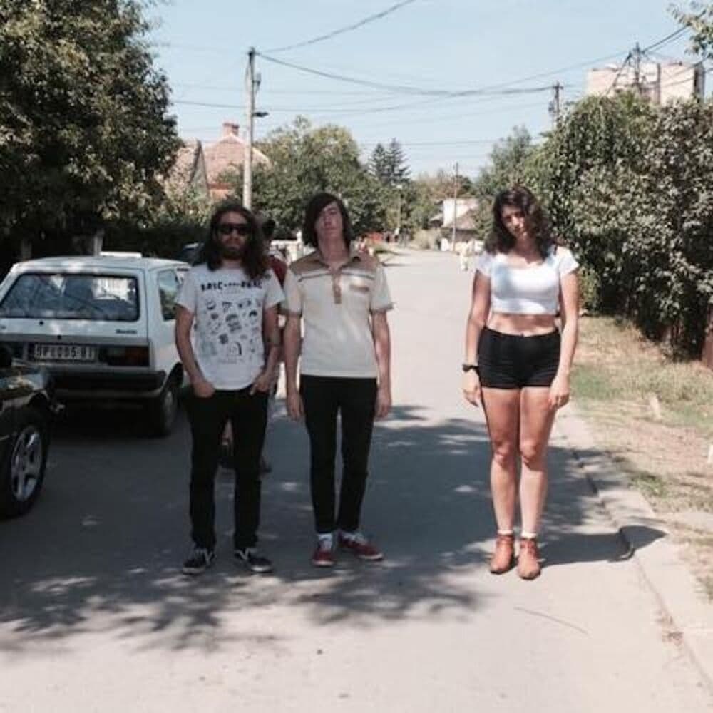 The Shivas – Rock