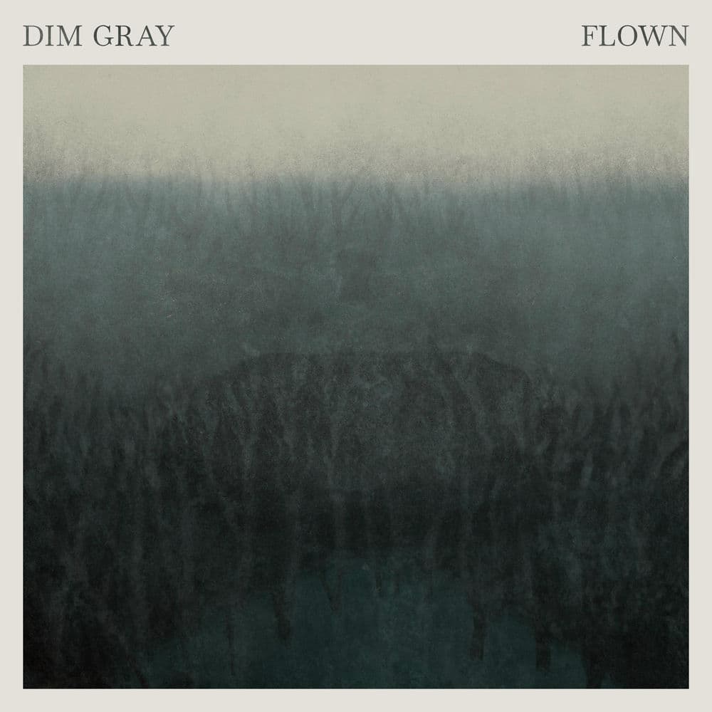 Dim Gray – Rock