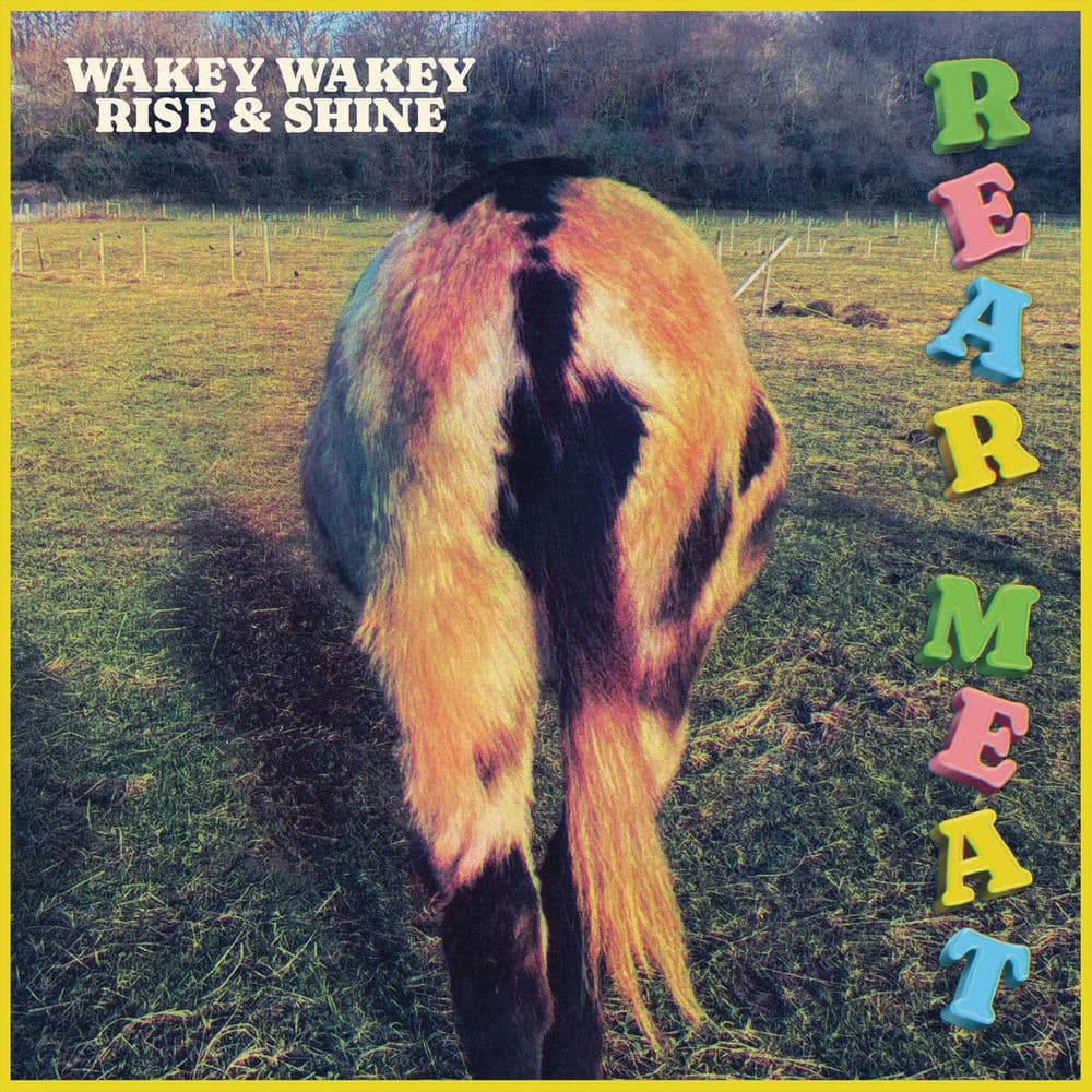 Wakey Wakey Rise & Shine – Psychedelic Rock