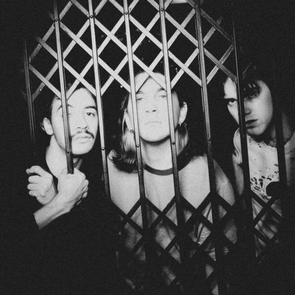 Mujer Cebra – Rock