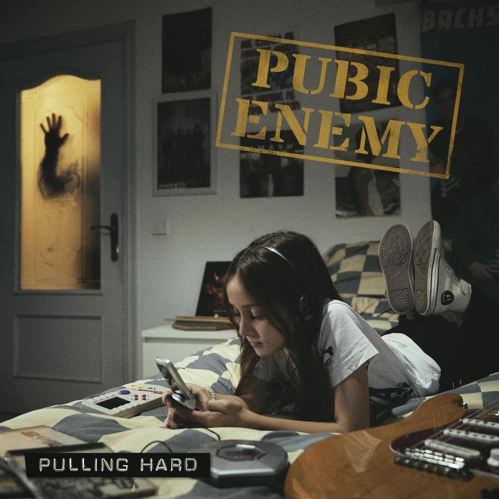 Pubic Enemy – Indie Rock