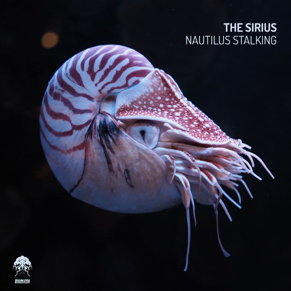 The Sirius – Electro