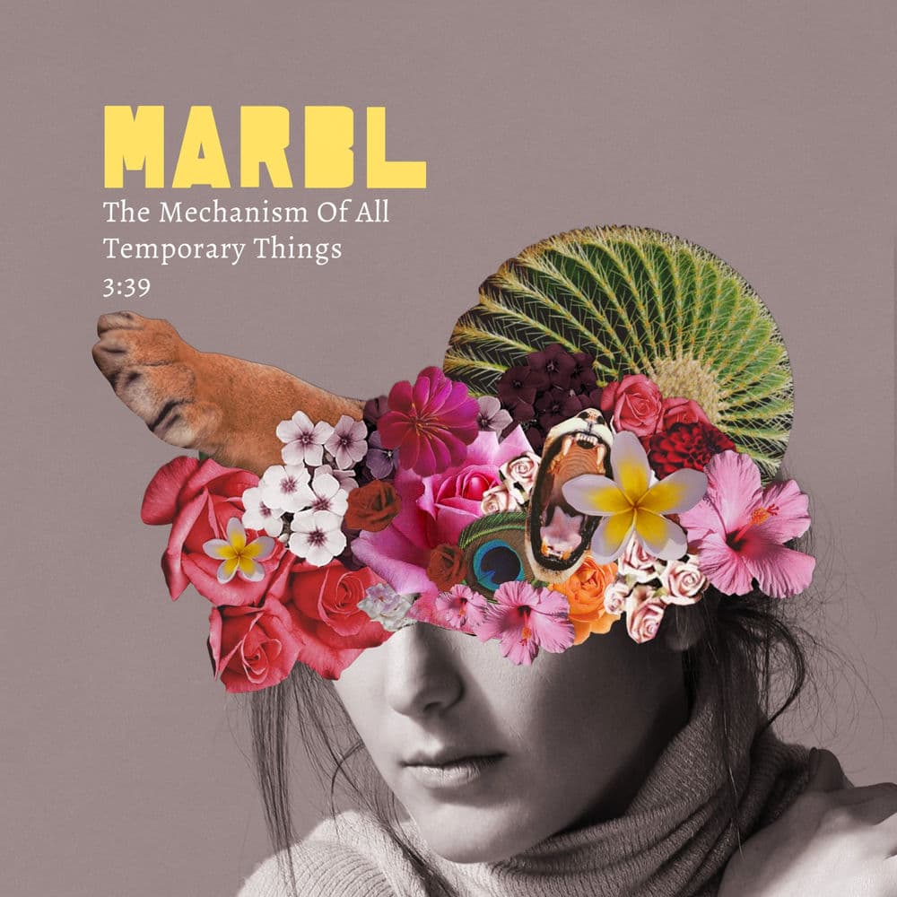 Marbl – Pop