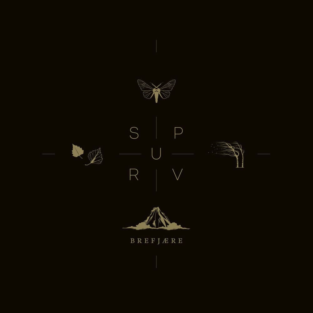 Spurv – Rock