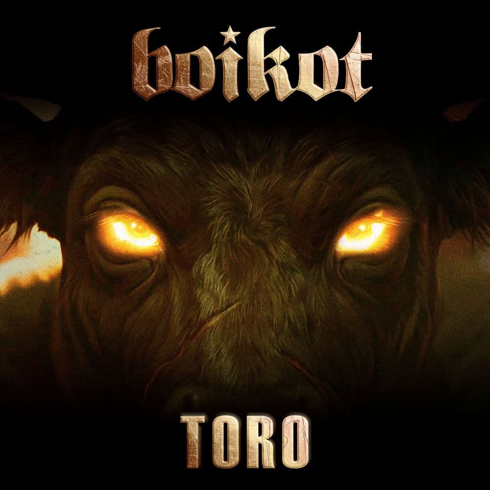 Boikot – Punk