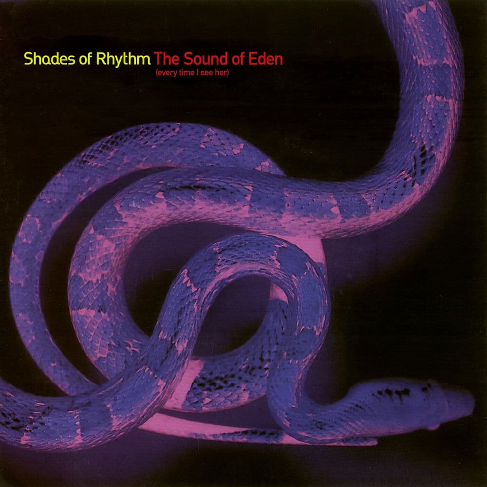 SHADES OF RHYTHM – Electro