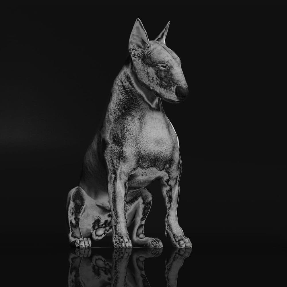 Riskee & The Ridicule – Indie Rock