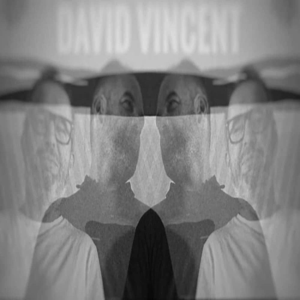 DAVID VINCENT