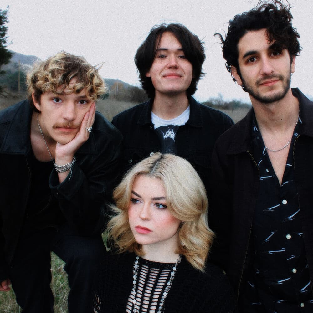 Wilt – Alternative