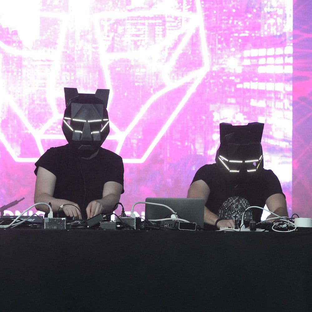 Black Tiger Sex Machine – House